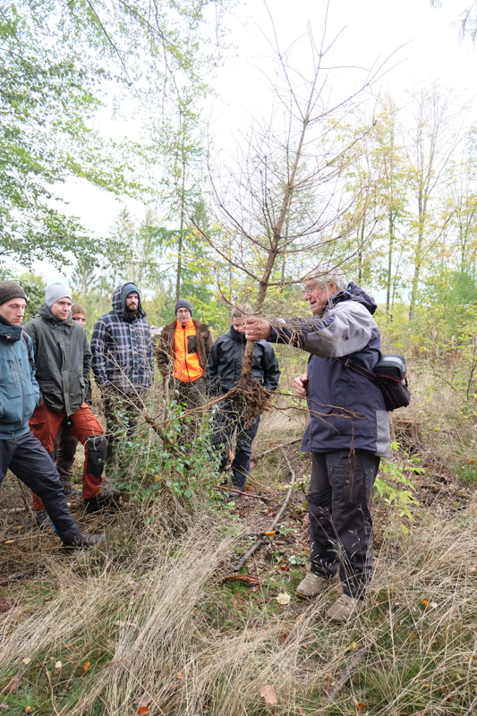waldbodenschutz-news-2