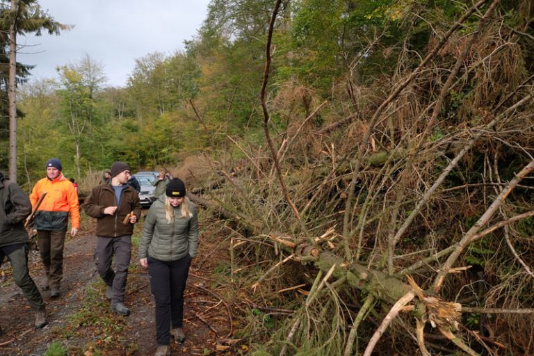 waldbodenschutz-news-3