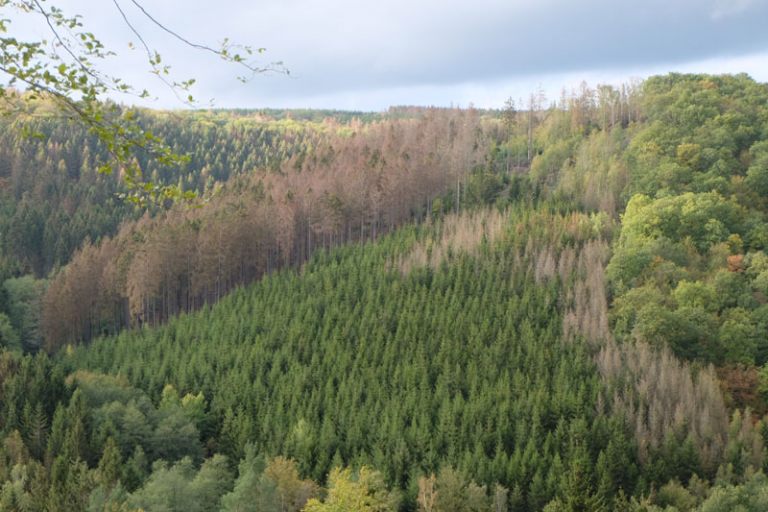 waldbodenschutz-news-4