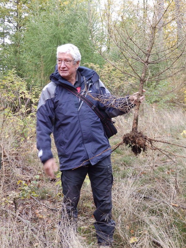 waldbodenschutz-news-5