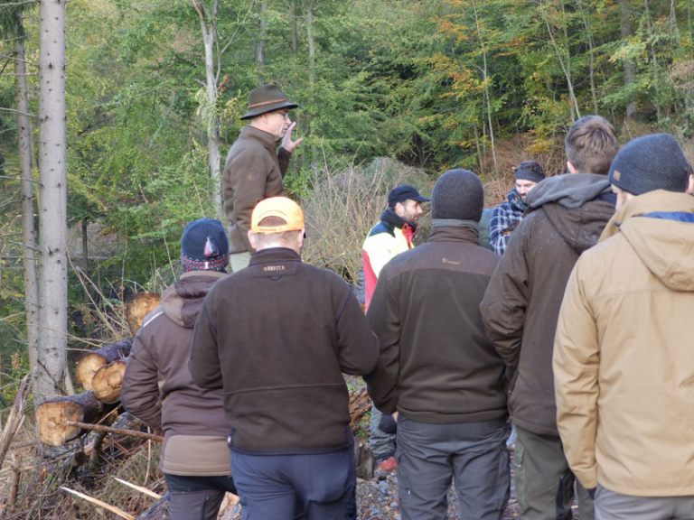 waldbodenschutz-news-7